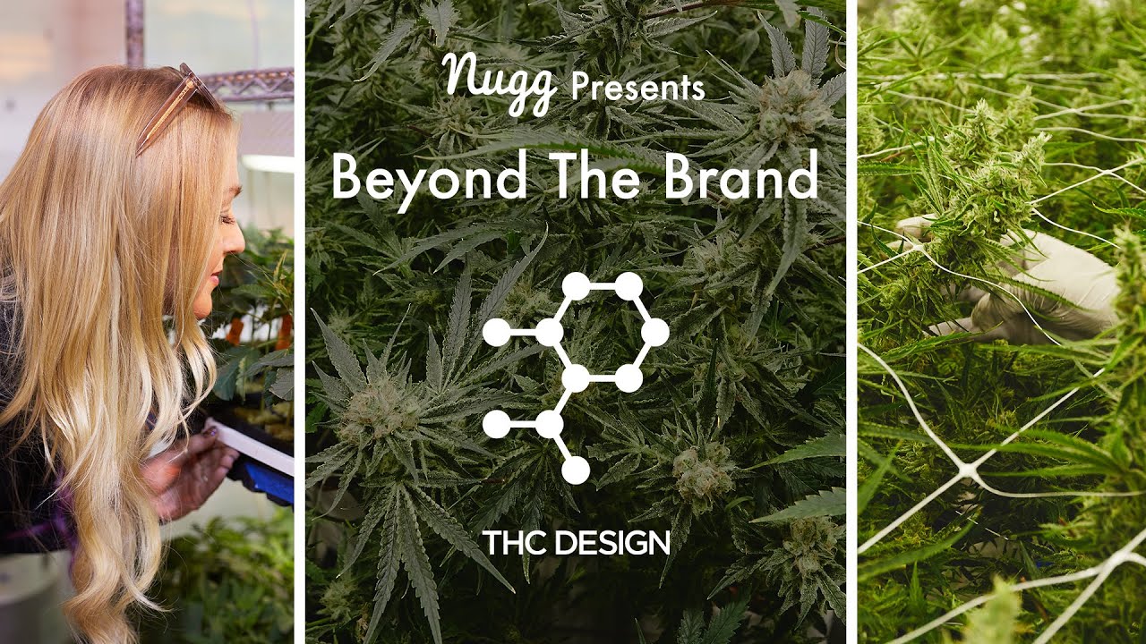Beyond the Brand: THC Design