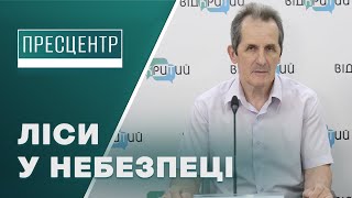 Ліси на Дніпропетровщині потерпають від людей та обстрілів