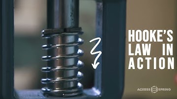 See Hooke’s Law in Action! | Online Spring Force Tester Demo