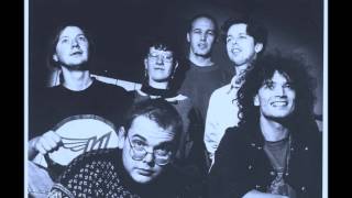 Het Groot Bambi Experiment - Velsertunnel