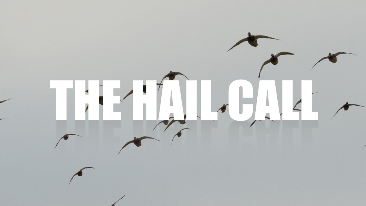 camera iphone 8 plus apk Mallard Calling — The Hail Call