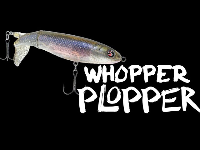 River2Sea Whopper Plopper  What it Looks Like Underwater 