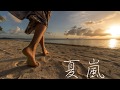 夏嵐/寺尾聰