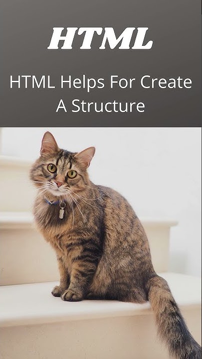 Difference between HTML and CSS | HTML and CSS important for web design ...