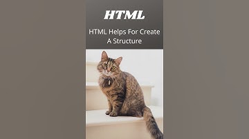 Difference between HTML and CSS #html #css