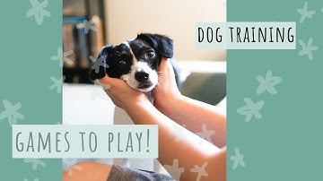 Teach your dog to know their toys by name!