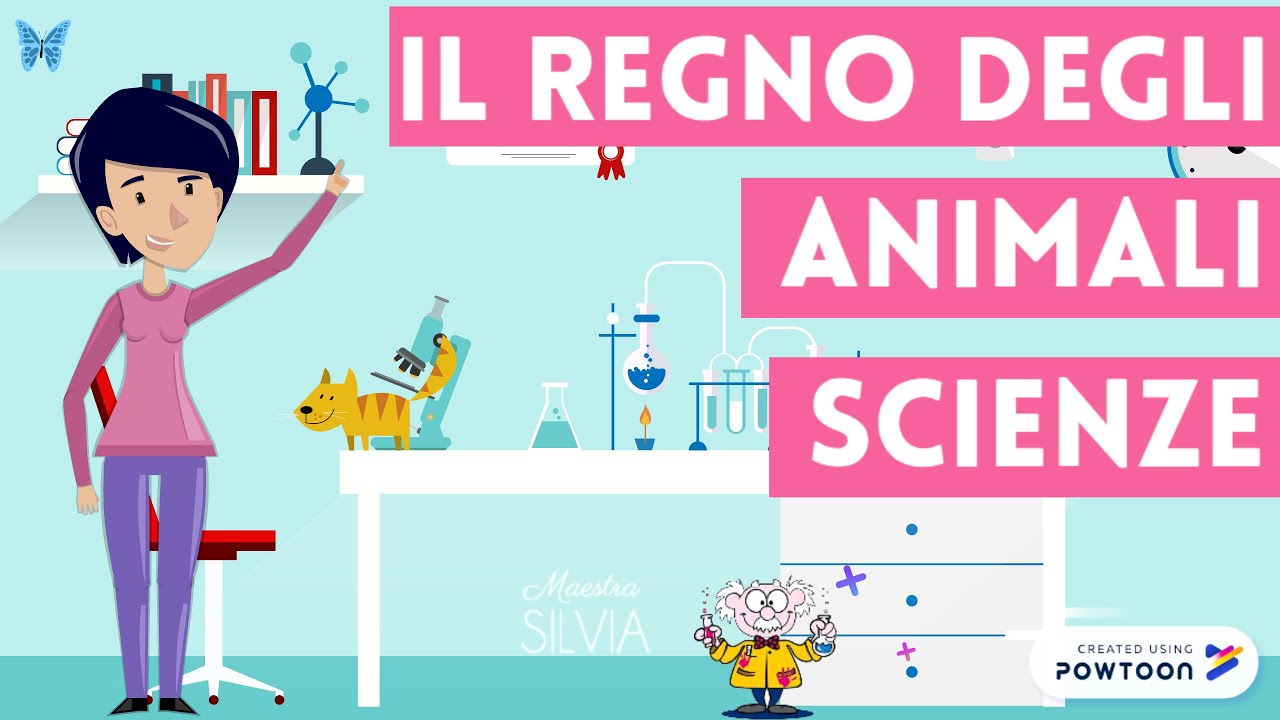 Il Regno Degli Animali Scienze Per Bambini Della Scuola Primaria Youtube