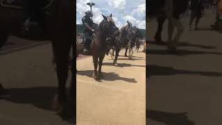 Pittsburgh BLM Protestors Clash with Trump Supporters Near PNC Park August 21, 2020 (B)