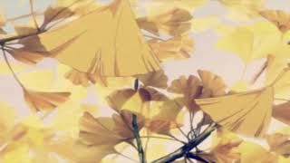 plastic love - friday night plans (slowed + reverb)