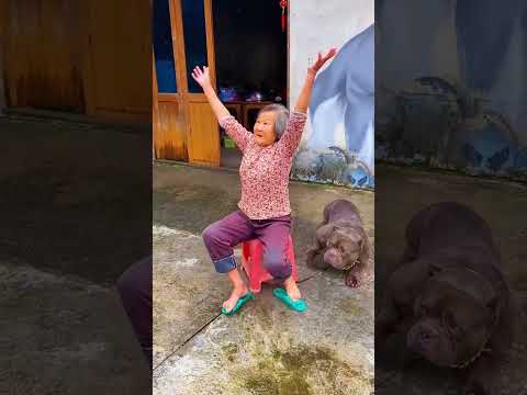 Chicken Rain Surprise 😂🍗 | Secret Bowl Theft & Funny Escape #FoodAdventure #ComedyFun #VillageStory