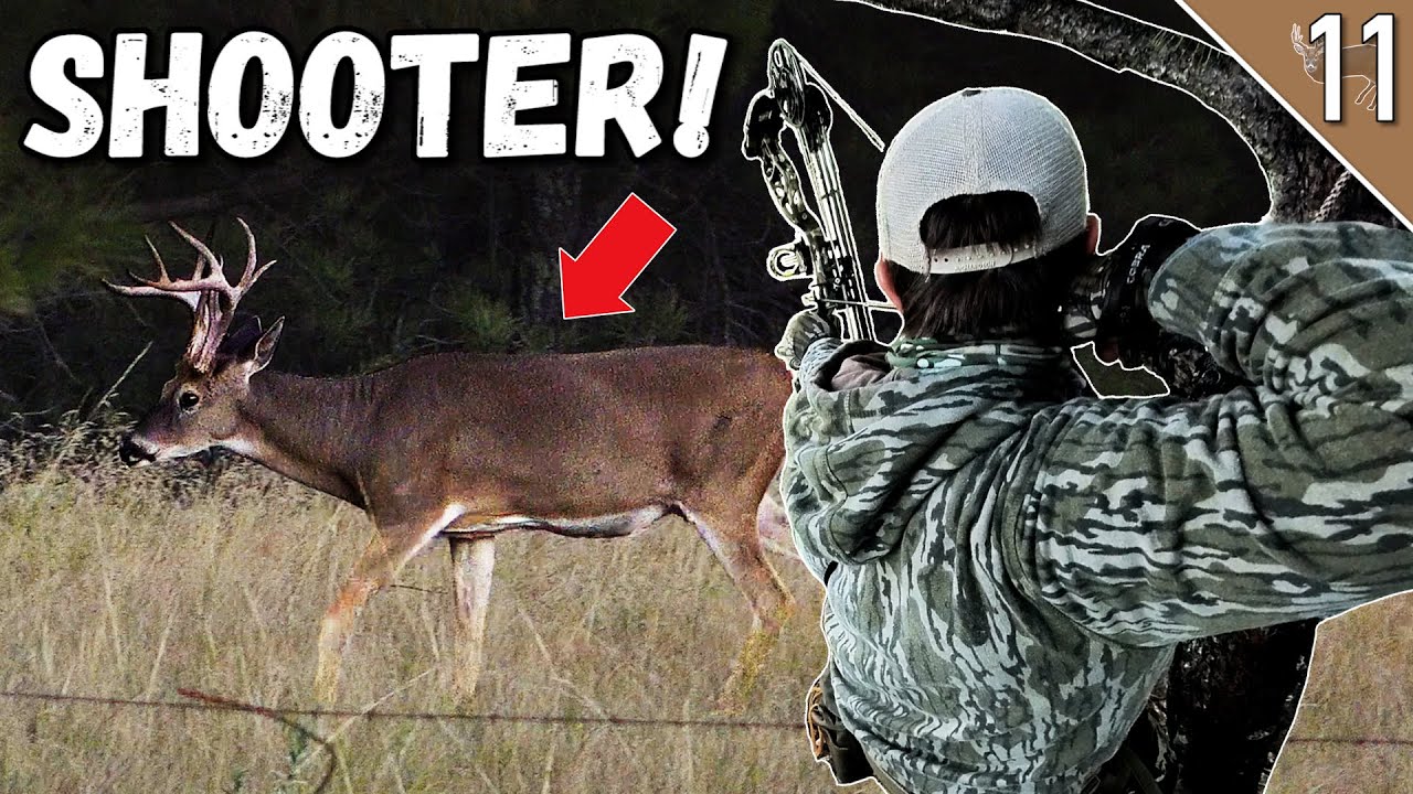 shooter-buck-on-the-first-hunt-greg-s-best-wildlife-footage-ever