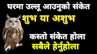 घरमा उल्लू आउनु, गुड बनाउनु कराउनु, शुभ या अशुभ संकेत, हेर्न छुटउनु भयो कि🙏🏻