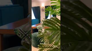 Modern Kitchen Design.                               interior designer ADNAN AKBAR