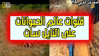 ترددات قنوات عالم الحيوانات على النايل سات