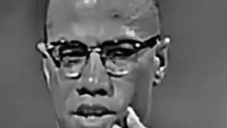 ⁣Malcolm X explains white liberals