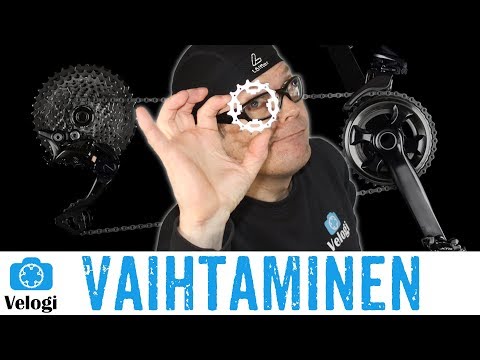 Slottorama mobiilisovelluksen vs. verkkosivuston yleisvertailu