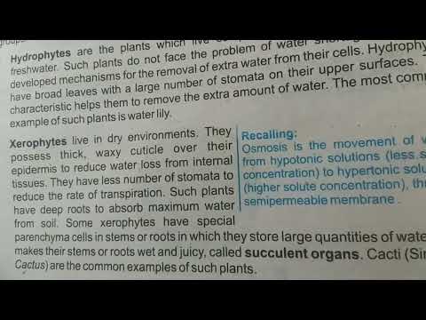 Osmotic Adjustment in plants/Iqra academy