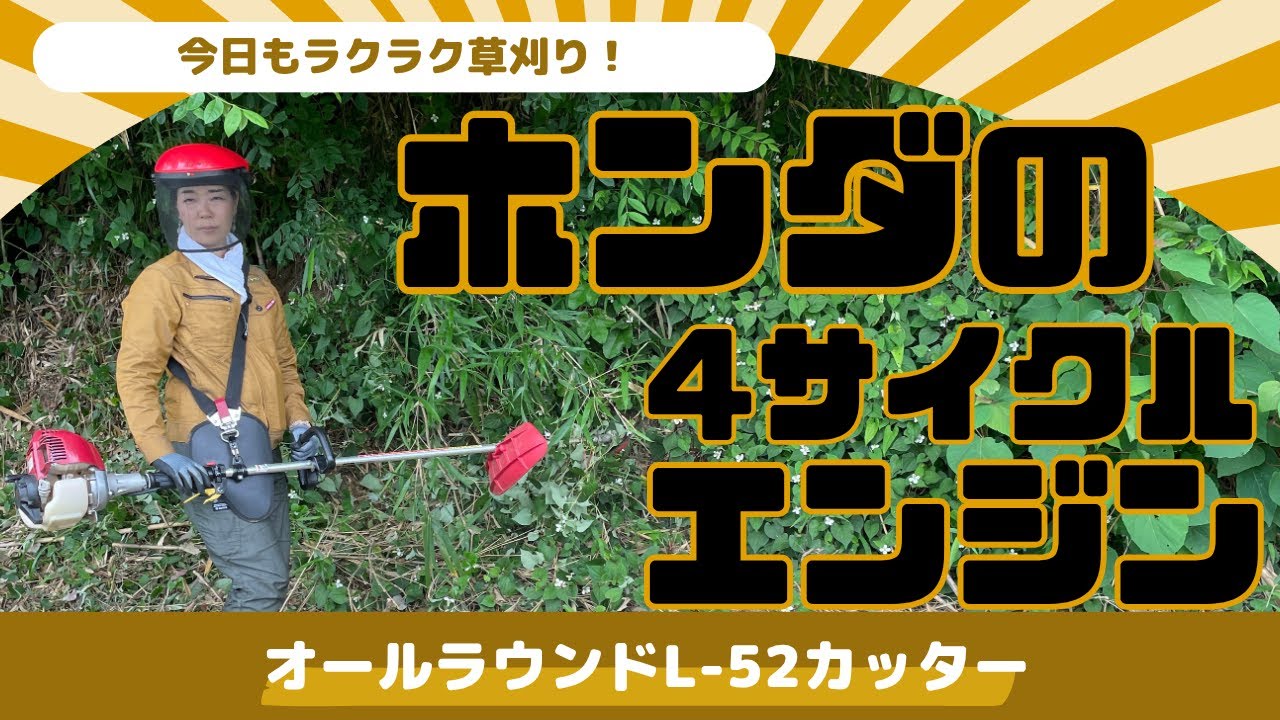 HONDA grass trimmer | 4-stroke engine type loop handle UMK425H1