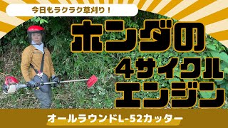 HONDA grass trimmer | 4-stroke engine type loop handle UMK425H1