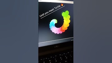 Amazing ❤️ Rotating design using Python Turtle #programmingfun #python . 🐢 🔥