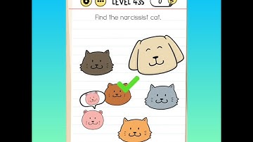 Brain test Tricky Puzzle Level   431, 432,433,434,435,436,437,438,439,440