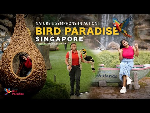 Exploring BIRD PARADISE
