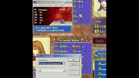 How to record from VBA