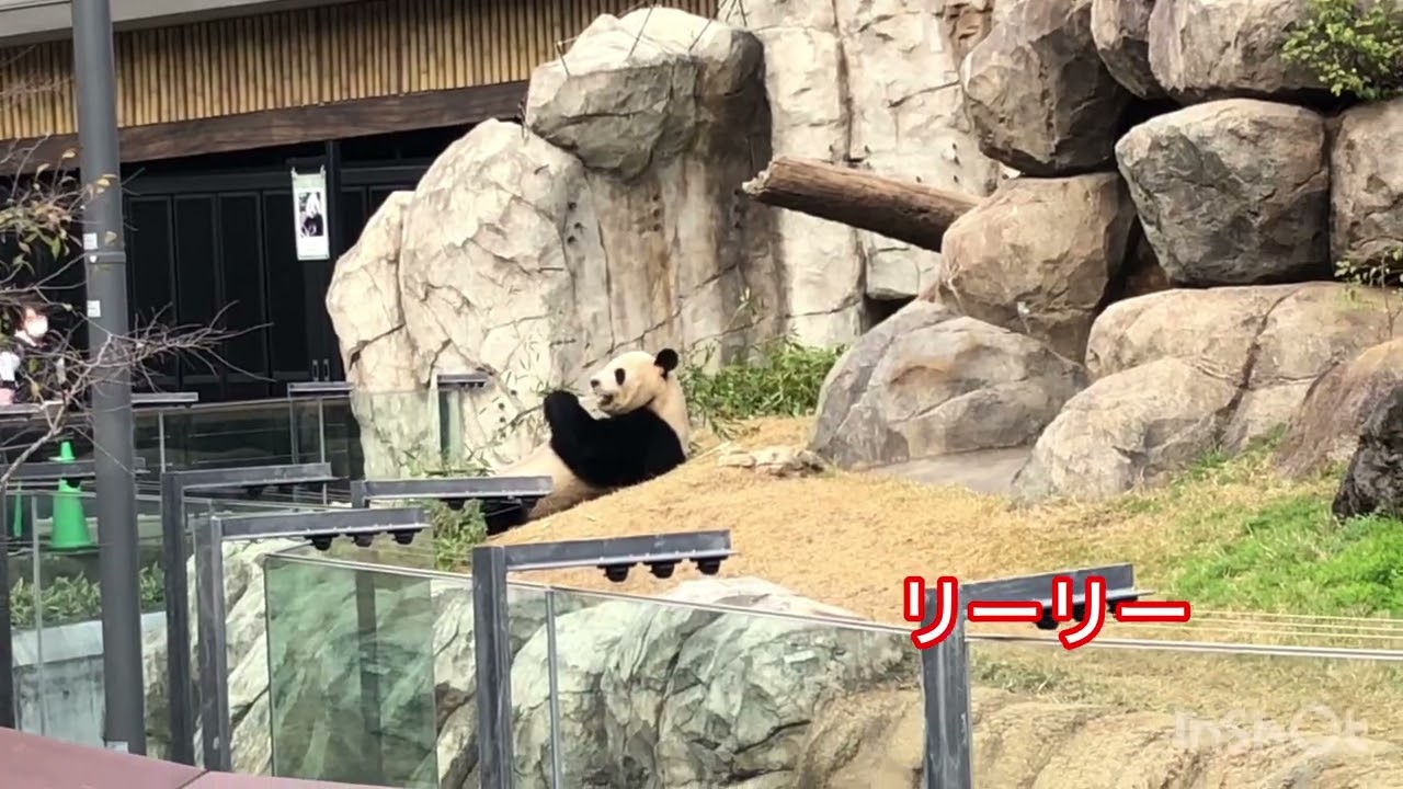 シャオレイまとめ3