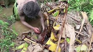 A girl went to pick vegetables in the forest and suddenly met a primitive man catching fish