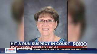 Hit-and-run suspect in court