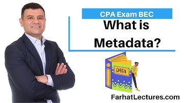 What is Metadata? CPA Exam BAR.