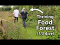 Abundant & Established Small-Scale Permaculture Food Forest