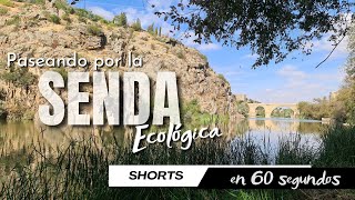 Paseos por Toledo: SENDA ECOLÓGICA - #SHORTS