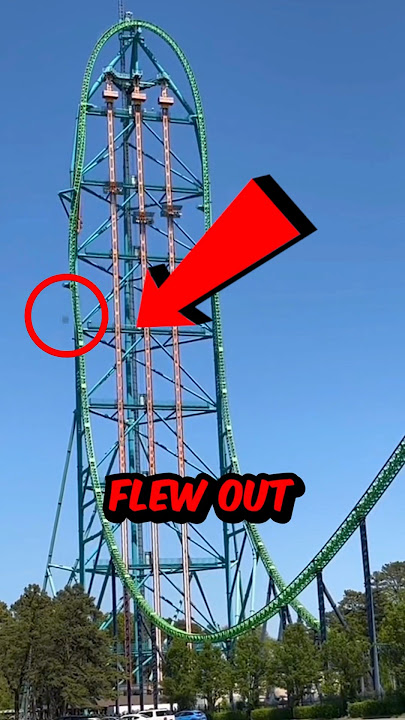 The Mother That Got Arrested For Crying On A Roller Coaster