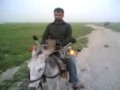 Salim Salim