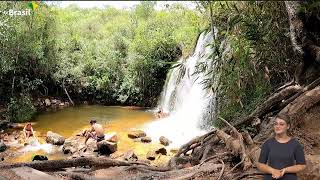 Cerrado: a savana mais rica do mundo | Nossos Biomas