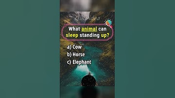 Test je dierenkennis met deze leuke weetjes!