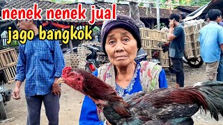 Salah 1 Peternakan & Importir Terbesar di Indonesia ada di Medan | Rizaldi Farm Anak Medan Gasterr. 