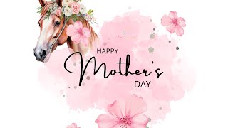 Happy Mother's Day from Horse Plus! screenshot 4