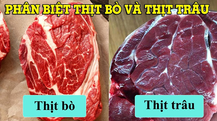 So sánh thịt bò và thịt lợn