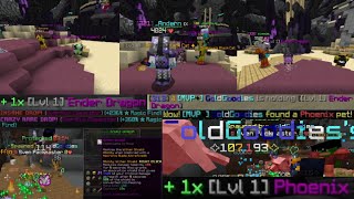 My October RNG Drops [Hypixel Skyblock]