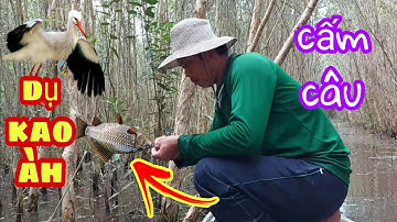 Lần Đầu Trải Nghiệm Cấm  Câu Cò | Thầy Thật Vlog