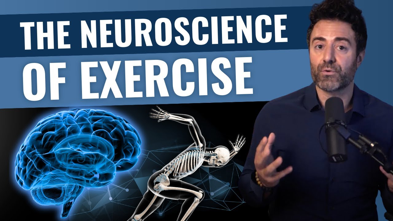 How Physical Exercise Affects the Brain - YouTube