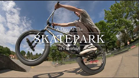 A Day at the Skatepark - Lewis Rodgers