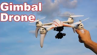 Beginner Camera Drone with a GIMBAL for Cheap! - WLtoys Q696-D - TheRcSaylors