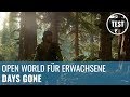 Days Gone im Test: Open World für Erwachsene (4K, German)