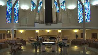 Why Do We Keep Falling? The Struggle of Faithfulness