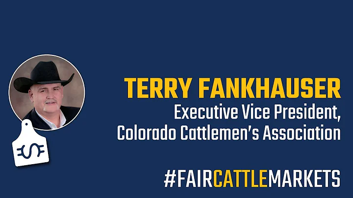 Fair Cattle Markets Interview with Colorado Cattle...