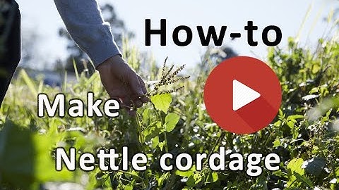 How to make nettle string video