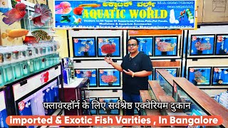 : Aquatic world Bangalore Exotic & Rare variety Aquarium Fish Shop with prices , Exotic Flowerhorns